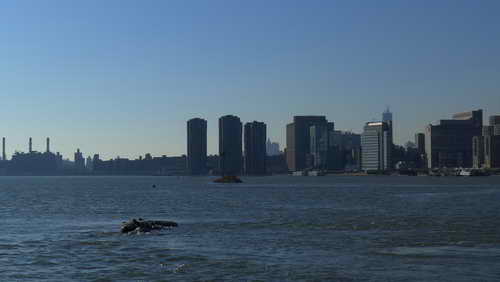 NYC_2012-11-17 11-27-46_P1070111
